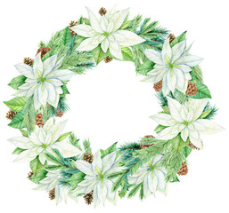 Watercolor christmas wreath with white poinsettia flowers. Botanical illustration isolated on white background. Perfect for cards, invitations, template