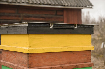 Close-up of beehive in private garden.
