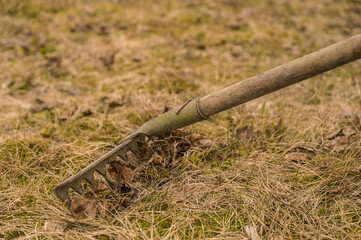 Garden rake. Dry grass and leaves on ground. Close-up.