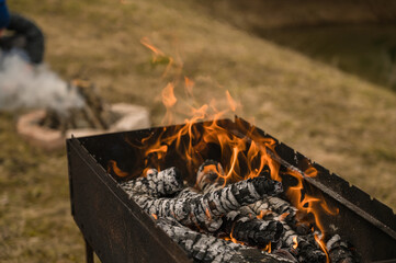 Burning wood in grill. Preparation for barbecue. Private garden with pond. Early spring. Dry grass and trees.