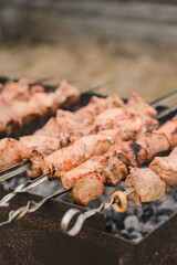 Traditional russian cuisine. Shashlik. Grilled marinated meat on skewers. Outdoor barbeque cooking. Tasty food.