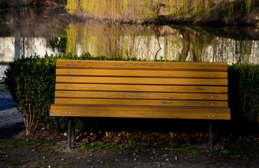 hedge of boxwood and pine tree trunk by the road in the park with curved benches by the pond. wood...