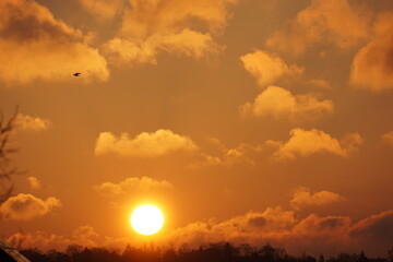 Sunrise