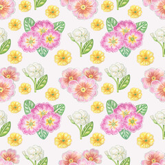 Watercolor seamless floral pattern with primrose on white background.Good for wrapping paper,textile ,decoupage,clothes.