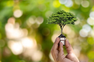 Tree growing in light bulb on green nature bokeh background, green energy concept for environment and conservation of earth ecology concept.