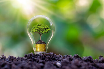 Tree grows in light bulbs, energy-saving and environmental concepts on Earth Day.