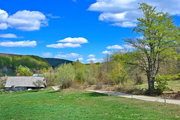 Rural mountains landscape in springtime