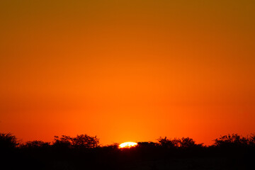 Obraz na płótnie Canvas African sunset or sunrise as background