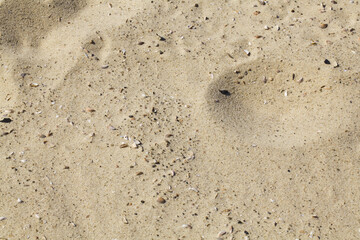 The texture of the sand on the beach.