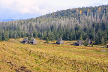 szałasy pasterskie na polanie pod Kopieńcem Wielkim w Tatrach