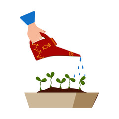 Watering seedlings with a garden watering can. Young garden shoots. Drops of water falling. Water is pouring out of the watering can. Watering can holding in hand.