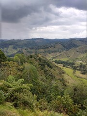 Colombia Valle del Cocora