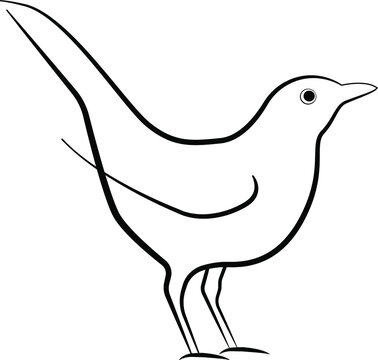 recommend clip art: Bird illustration. Blackbird vector image. Minimal line art. Thrush. Ousel.