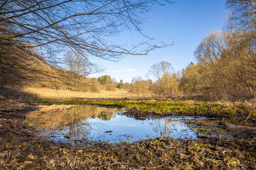 Obraz premium Spring landscape with water puddle, trees and meadows