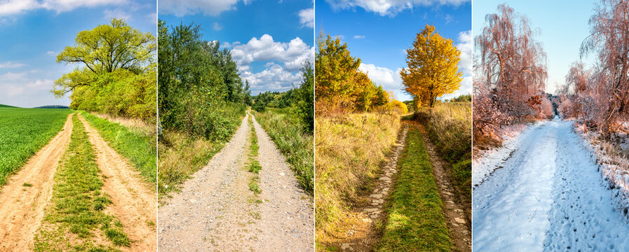 Four season collage from shots with roads in landscape