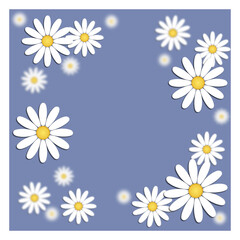 Beautiful modern background with white chamomile flowers with an empty space for making entries in the center. Floral fashion creative ideas. Stylish nature spring or summer background.