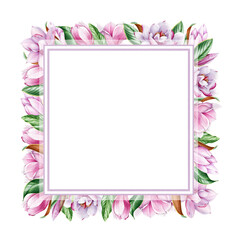 Square frame magnolia flower . Tender pink magnolia flowers and leaves. Watercolor illustration. Realistic minimal decoration. Elegant frame of spring blossoms and green leaf. On white background