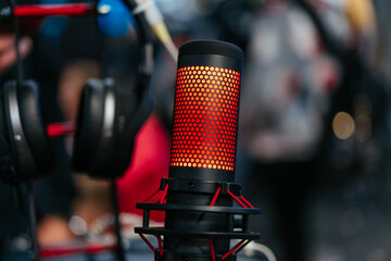 Professional studio condenser microphone attached to shock mount