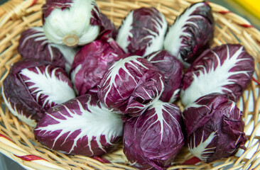Fototapeta premium Radicchio rosso di Verona I.G.P. 
