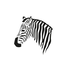 Fototapeta na wymiar Zebra head profile. Black and white vector portrait for print or web