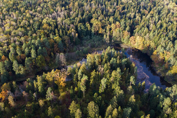 Summer forest landscape with riverbed, aerial view. Blue river water and green trees