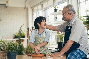 Grandfather gardening and teaching grandson take care  plant indoors