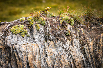 autumn in the mountains, salzburg, gastein, austria