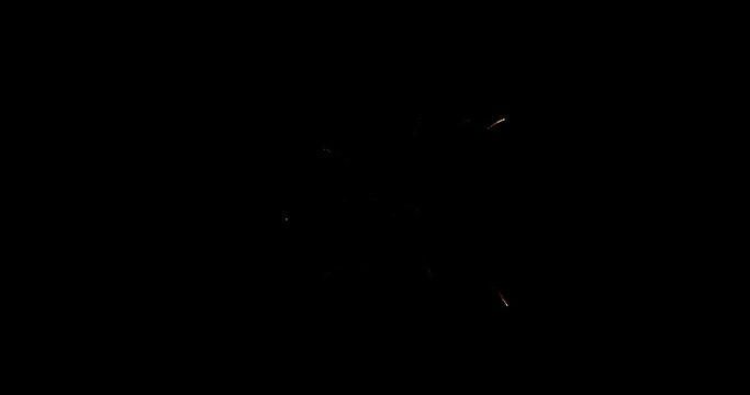 Amazing fireworks show at night. Spectacular celebration