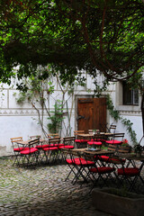 Obraz premium bench under the tree