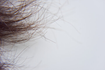 selective focus within closer look at the ends of humans hair