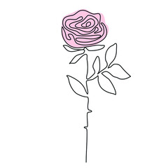 Outline vector rose flower hand drawn isolated