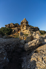 Vertical shot of a rocky cliff partly covered with greenery

