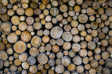 Wooden background. Preparation for the winter. Wooden logs storage. Wood pattern.