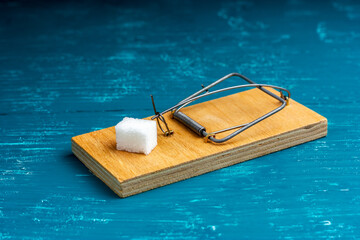 A lump of sugar in a mousetrap. The bait is in a mousetrap. Free lump of sugar in the trap.