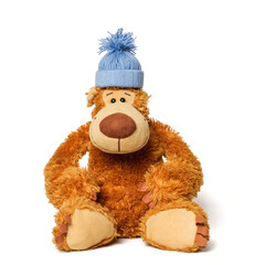 Teddy bear with a blue knitted hat on his head.