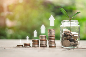 The plant grows on a coin in a glass jar with a green bokeh background and an arrow pointing up...