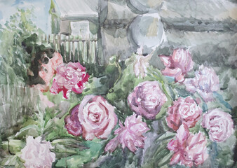 Peony bush nearby log hut. Countryside summer garden. Watercolor painting pink blossoming flowers. Hamlet lifestyle. Organic horticultural.