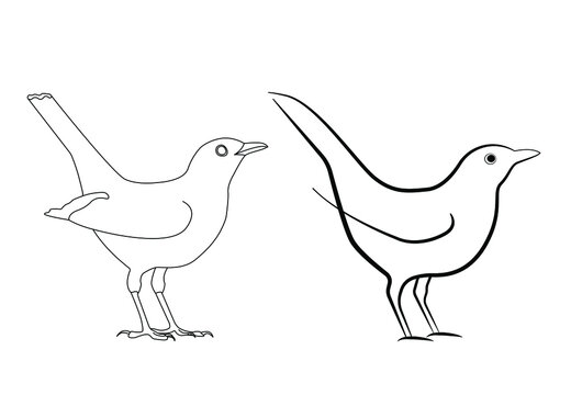 Blackbird outline icon. Two line art bird vector illustration. Minimal line art. Thrush. Ousel.