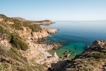 Fototapeta na wymiar Flowers in maquis on coast of Corsica