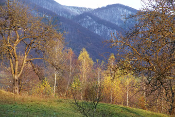 autumn landscape in the Carpathian mountains, Ukraine. there is snow on the slopes