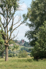 église entre les arbres