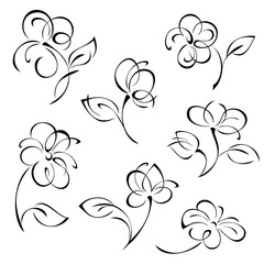 flowers 69. SET. stylized decorative flower on a stalk with leaves in black lines on a white background. SET