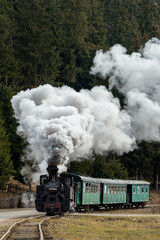 Obraz premium steam train in the forest