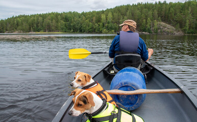 Man canoeing with dogs