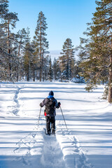 Snowshoeing in Lapland Finland