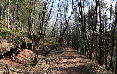 Felsenwanderweg (Rock Hiking Trail) in Rodalben near Pirmasens in Germany.