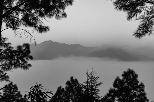 A black and white landscape view of mountains and valley covered in early morning fog and mist with trees framing the corners of the image