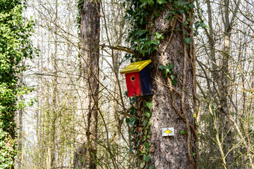 Vogelhäuser im Stadtwald von Schopfheim