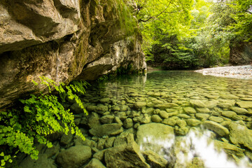 Naklejka premium River