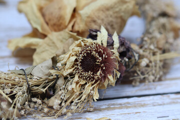 close up of dried wild flowers